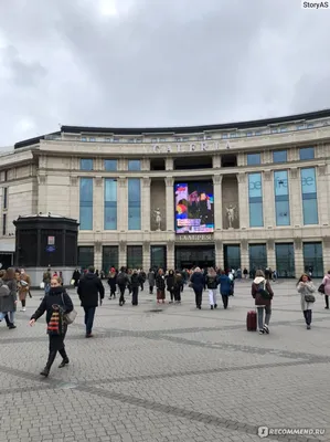 Полиция Петербурга закрыла ТРЦ \"Галерея\" из-за устроивших драку подростков