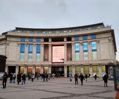 Зоологический музей Санкт-Петербурга