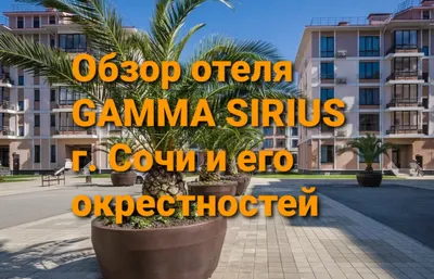 ГАММА СИРИУС ПАРК, Cочи | GAMMA SIRIUS PARK - Официальный сайт отеля