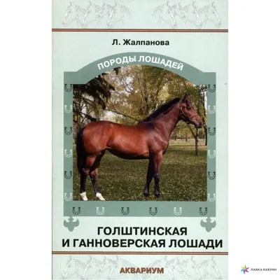 Фото ганноверской лошади в WebP формате