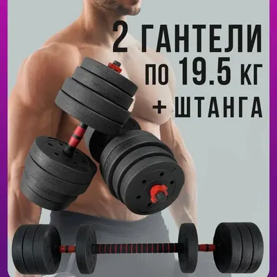 Гантели Gravity DK4121_20 кг, 2 шт. по 10 кг, черный - купить по выгодным  ценам в интернет-магазине OZON (182285826)