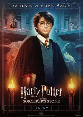 Harry Potter 20th Anniversary (Harry) MightyPrint™ Wall Art MP17240705 | Гарри  поттер, Гарри поттер фотографии, Хогвартс