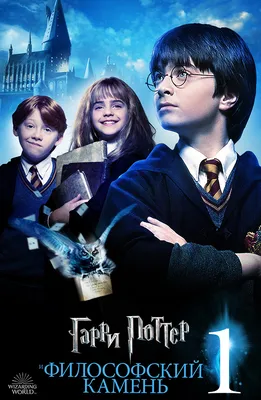 Ростовая фигура Гарри Поттер (Harry Potter) 700х1583 мм - купить по  выгодной цене | Магазин шаблонов Принт100