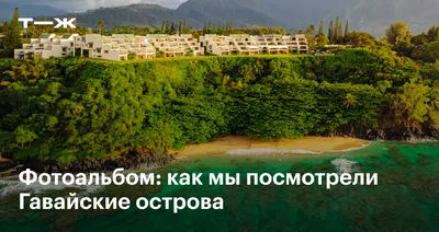 Приходите И Посетить Остров Гавайи! Surfers И Пляж Любители Наслаждаться  Тропическим Гавайские Острова, Как Их Путешествия. Клипарты, SVG, векторы,  и Набор Иллюстраций Без Оплаты Отчислений. Image 44986685