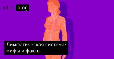 Баланит и баланопостит: симптомы, диагностика и лечение в клинике Universum  Clinic