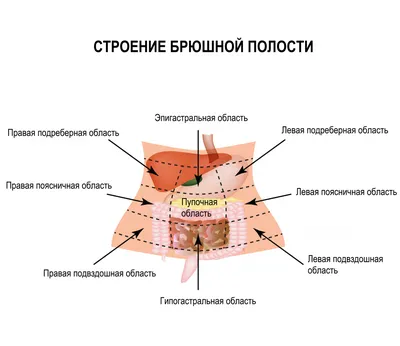 Острый аппендицит - симптомы и причины заболевания, классификация и  диагностика