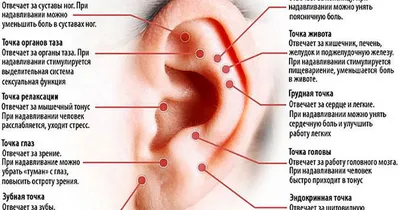 Точка G. Где находится и как её найти. Практика и стимуляция. Элен Кларк -  «Где находится точка G? Наконец–то я нашла💥 Книга расскажет как  действовать одной или с партнёром. Неплохое пособие по