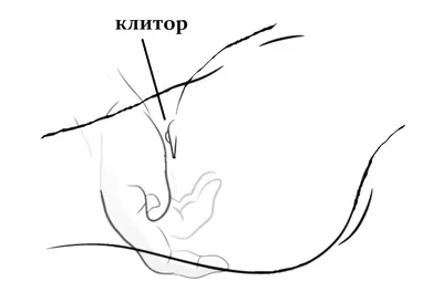 Клитор рисунок (49 фото) » Рисунки для срисовки и не только