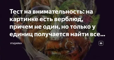 Тест на внимательность: на картинке есть верблюд, причем не один, но только  у единиц получается найти всех загаданных животных | УГАДАЙка | Дзен