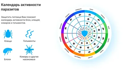 Диахим-Набор для исследования на гельминты по Рабиновичу (50 определений) -  купить в Екатеринбурге