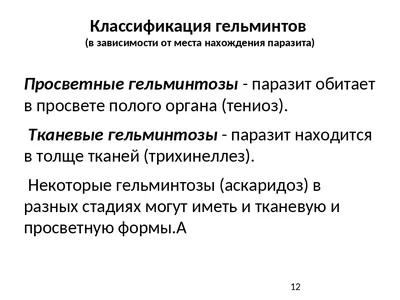 Гельминты рукокрылых (Chiroptera) Мордовии – тема научной статьи по  биологическим наукам читайте бесплатно текст научно-исследовательской  работы в электронной библиотеке КиберЛенинка