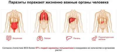 Анализы на гельминты