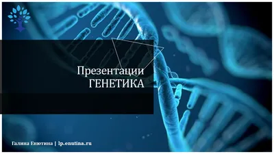 Генетика: вчера, сегодня, завтра в Новосибирске | ЦНМТ