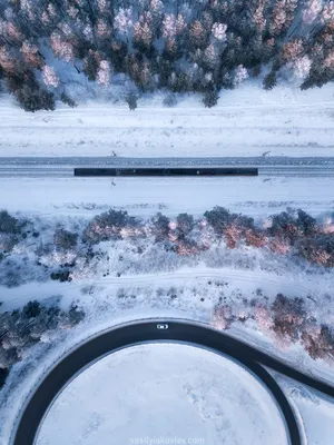 Фотообои Зеленая геометрия с золотистыми линиями артикул 3Dg-063 купить в  Екатеринбурге | интернет-магазин ArtFresco