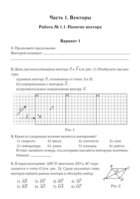 Волшебство Нового года: праздничные огни зажглись на главной елке Томска -  vtomske.ru