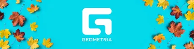 Geometria.ru Воронеж | ВКонтакте