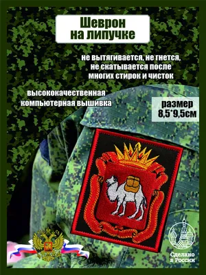 Как на герб Челябинска попал верблюд – история появления и изменения  символа города