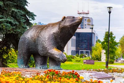 Шеврон нашивка Внутренние войска Герб (круглый) (патч) термонаклейка купить  в Перми недорого в магазине SNIPER