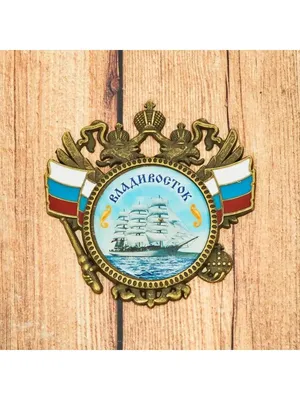Значок СССР Герб Владивосток - купить с доставкой по выгодным ценам в  интернет-магазине OZON (879792179)