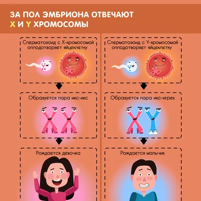 shansbio - Мальчик или девочка? Клинический случай Шанс... | Facebook