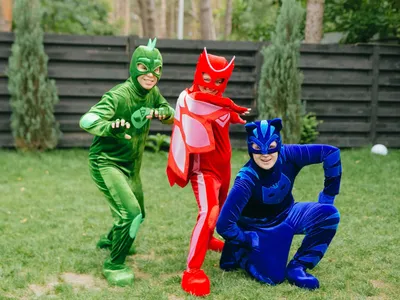 Маска игрушечная Герои в масках Кэтбой PJ MASKS F2141 PJ Masks 40441295  купить в интернет-магазине Wildberries