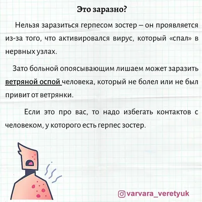 Сколько стоит лечение кошек, собак и енотов: 9 историй о дорогостоящей  медицинской помощи домашним животным