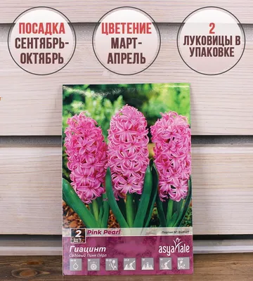 Заказать Гиацинт Фиолетовый (иск.) за 450 руб. в городе Нижневартовске -  «Ирис»