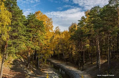 Гилёвская роща – ГородТ