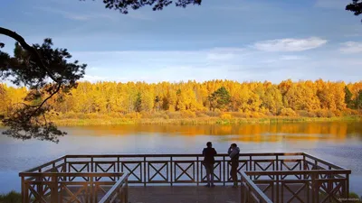 Отзыв о Парк Гилевская роща (Россия, Тюмень) | Настоящий лес в городе