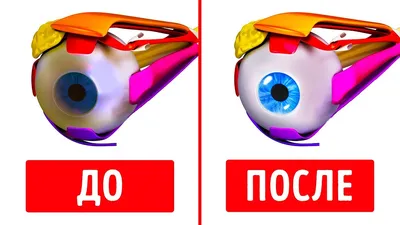 Гимнастика для глаз по методике Э.С. Аветисова | КГБУ \"Бикинский  реабилитационный центр для детей и подростков с ограниченными возможностями\"