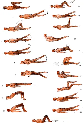 Позвоночник / Лечебная гимнастика. Часть 09 | Медицинский Центр \"ОЛИМП\" |  Дзен