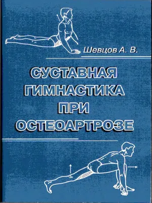 Гимнастика, ЛФК и комплекс лечебных упражнений при сколиозе