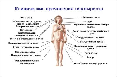 Гипотиреоз при беременности - симптомы, влияние на зачатие и течение  беременности, лечение гипотиреоза у беременных.