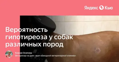 Хиллс МЕТАБОЛИК МОБИЛИТИ МИНИ лечебный сухой корм для собак мелких пород  для снижения веса с поддержкой суставов, с курицей, 6кг, HILL'S  Prescription Diet Metabolic + Mobility Mini