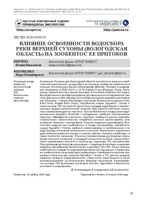 СШОР по баскетболу г. Вологда | СШОР по баскетболу г. Вологда