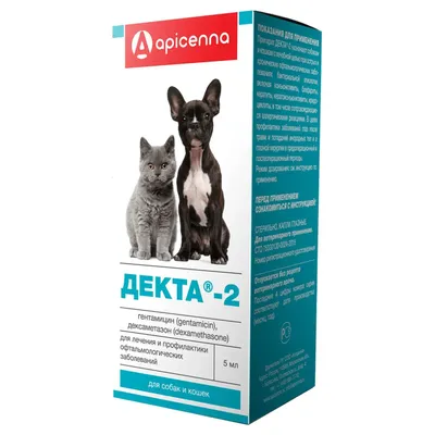 Заболевание глаз у собак и кошек - Ветеринарная клиника «АльтерВет», СПб,  круглосуточно