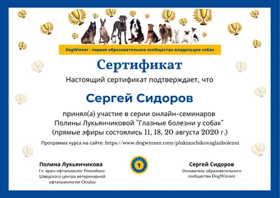 Красные глаза у собаки | Блог о щенках и собаках ^;^ | Дзен