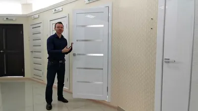 Глянцевые межкомнатные двери Серия L Profil Doors | Internal doors,  Interior, Home