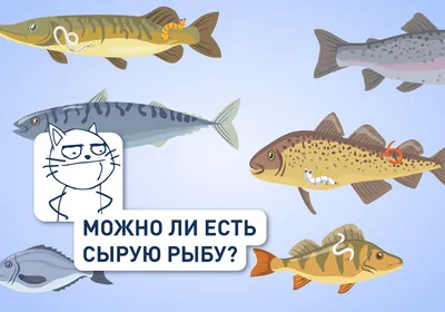 Красные черви в рыбе - вредны ли для человека рыбьи паразиты? |  FishingBY.com