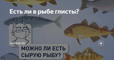 Лосось, форель, сёмга охлаждённая из магазина -- Форум водномоторников.