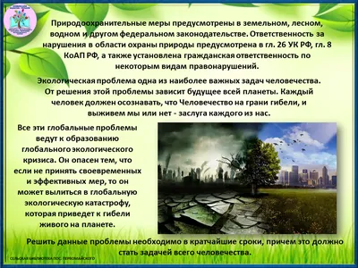 Александр Таргаев - Глобальные экологические проблемы актуальны для России.  Следует признать, что страна является одной из самых загрязненных в мире.  Это сказывается на качестве жизни и пагубно влияет на здоровье людей.  Возникновение