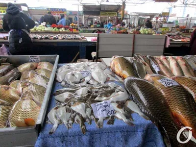 Рыбалка в Коблево на море, на Тилигульском лимане. Узнайте!