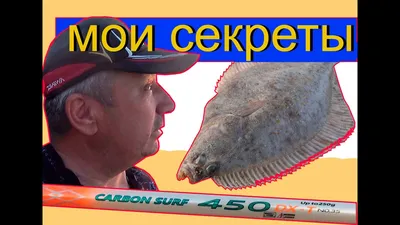 Рыбалка на Тилигульском лимане | fishingfamily.com.ua