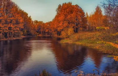 Цветотип Темная осень: одежда, палитра, макияж