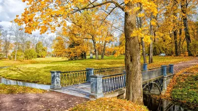 Глубокая осень в Линдуловской роще. Photographer KrubeK