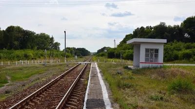 Серповка в своей красе | Глушково (п.ст.) (Глушковский район) | Фотопланета