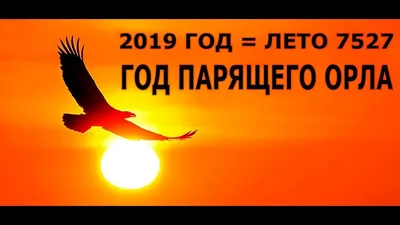 С НОВЫМ ГОДОМ 2019 ГОД ПАРЯЩЕГО ОРЛА по славянскому календарю | С новым  годом, Календарь, Орлы