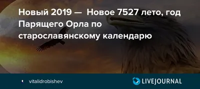 Новый год: Год свиньи или год парящего орла? - YouTube