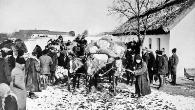 Более 90 % украинцев считают Голодомор 1932–1933 годов геноцидом, – опрос -  РИСУ