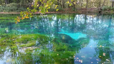 Голубое озеро Казани - «Одно из прекрасных мест на планете. Не надо ехать в  поисках чудес заграницу. Наша природа прекрасная, чистый воздух, лесная  тишина, которую нарушает только пение птиц или кваканье лягушек.
